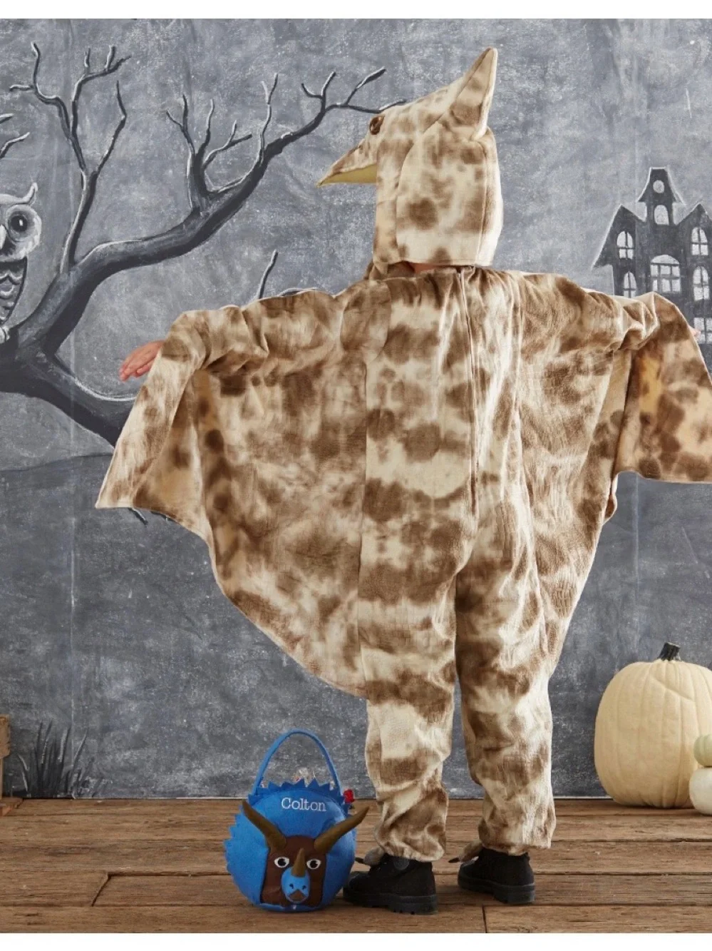 Pottery Barn Kids Pterodactyl Halloween Costume Two Piece